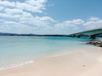 ☆　夏季休業のお知らせです　☆