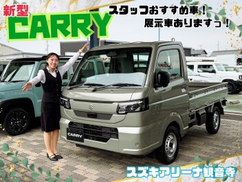 スタッフオススメ！キャリィの紹介です♪