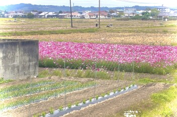 秋も深まってまいりましたね