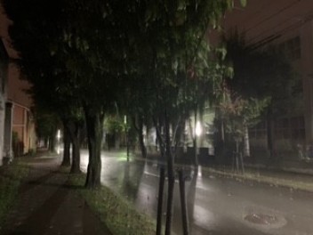 夜の散歩