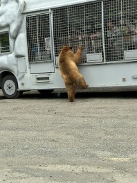久々のお出掛け！