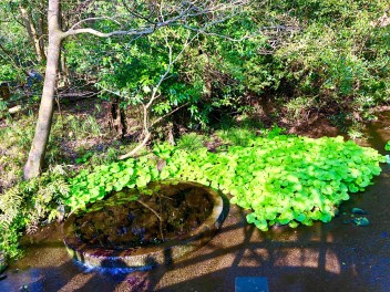 おすすめスポット　～公園編～