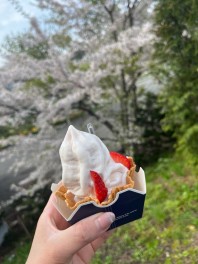 アイス屋さん★☆