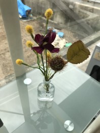 秋の模様替えをしました！