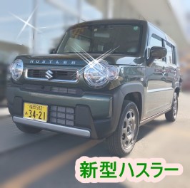 試乗車ご紹介！！