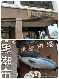 趣味＆切実なお願い‼