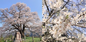 ☆令和２年度スタート☆