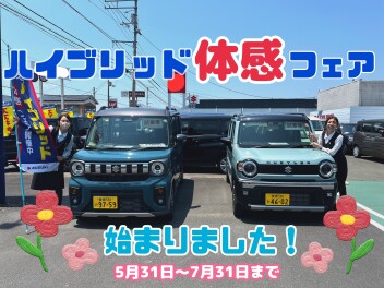 ハイブリッド体感フェア始まりました！