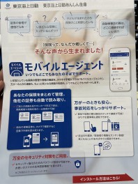 保険どこで入るの？