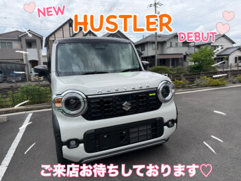 ♡NEW HUSTLER DEBUT♡