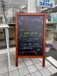 4月のおすすめ車種！