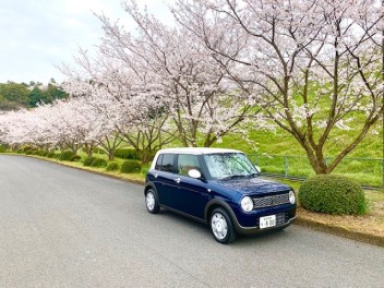 桜とスズキ車のコラボレーション！！