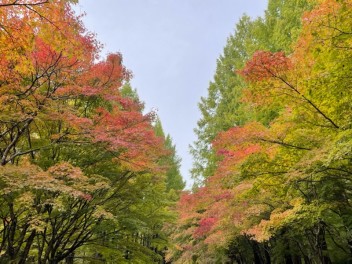 タイヤ交換はお済みですか？