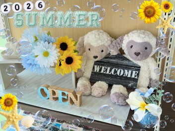 ショールームを夏仕様にしました★★