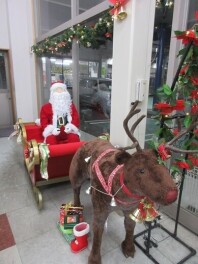 クリスマス飾り　始めました！