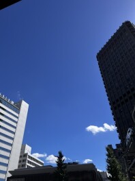 夏空広がる8月、お盆休みのご案内