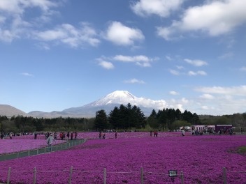 お出かけ前に愛車の点検を！