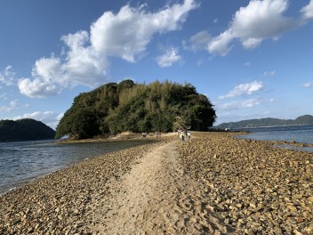 小島じゃなくて大島だよ！！