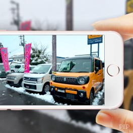 いつもの写真を少し加工してみました♪
