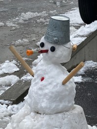 雪やぁ( ﾟДﾟ)