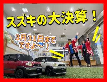 決算期は今だけ！