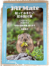 暑すぎるから