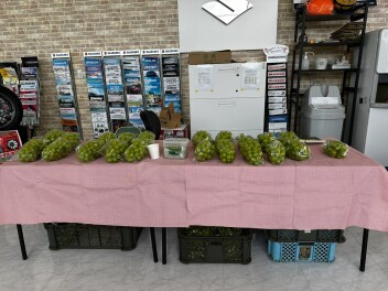 「スズキの決算」イベント大盛況でした♪♪