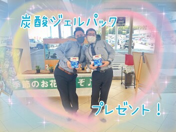 みんな大好き。アリーナウィーク。