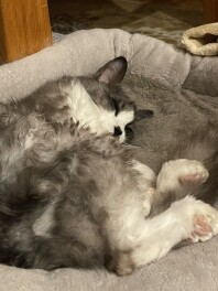 ☆自己紹介☆
