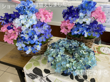 そろそろ紫陽花の季節ですね