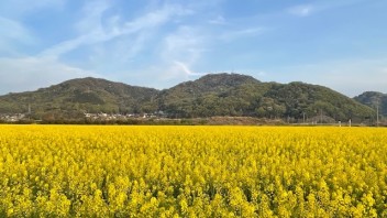 ゴールデンウィーク店休日のお知らせ