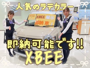 ６月３・４日　商談会開催します！　即納車もあります！