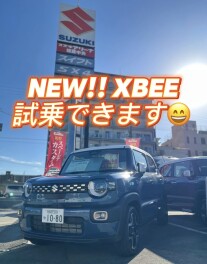 NEW！ＸＢＥＥ　試乗の準備ＯＫです(^^)/
