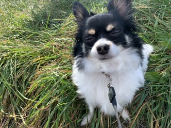 輪島の愛犬とタイヤ交換！