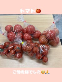 美味しくいただきました(*´ω｀*)