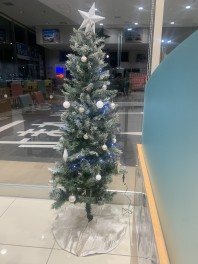 お店がクリスマス仕様になりました！！！