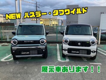 HELLO！ NEWFACEフェア　開催中！