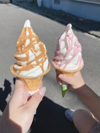 美味しいです(*'ω'*)！