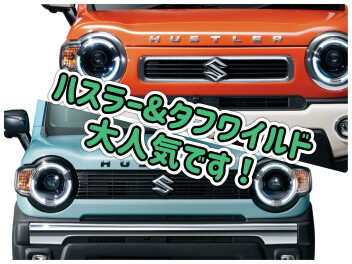 ハスラー　タフワイルド大人気！　通常グレードと何が違うのか？ご紹介します！
