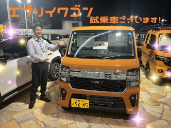 試乗車あります！