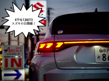 ２月の最初はスズキの日でございます！