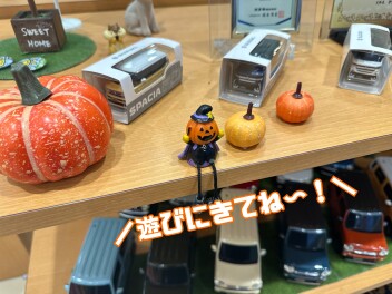 １０月になりましたね♪