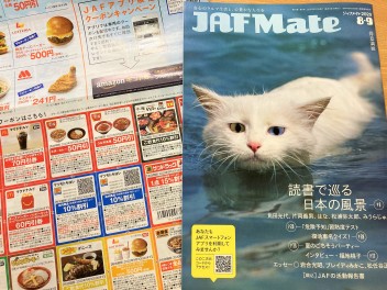 オッドアイの猫が泳いでる～！