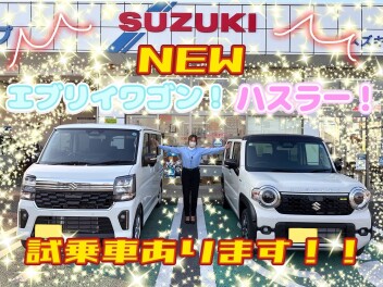 NEWエブリイワゴン！！NEWハスラー！！