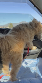 タイヤ交換はおすみですか？