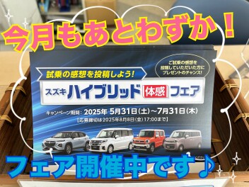 この週末もフェア開催中です♪