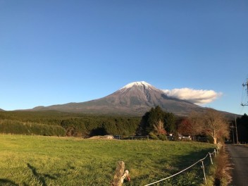 マラソン走ってきました！