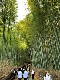 修学旅行気分で