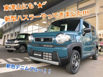 ついにお目見え♪♫♪♫新型ハスラー！！！