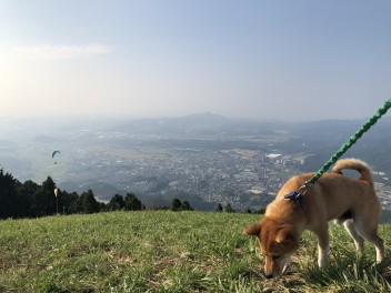 旅行に行きたい